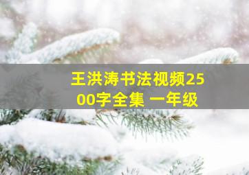 王洪涛书法视频2500字全集 一年级